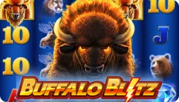 Buffalo Blitz