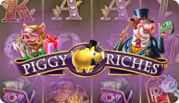 piggy riches